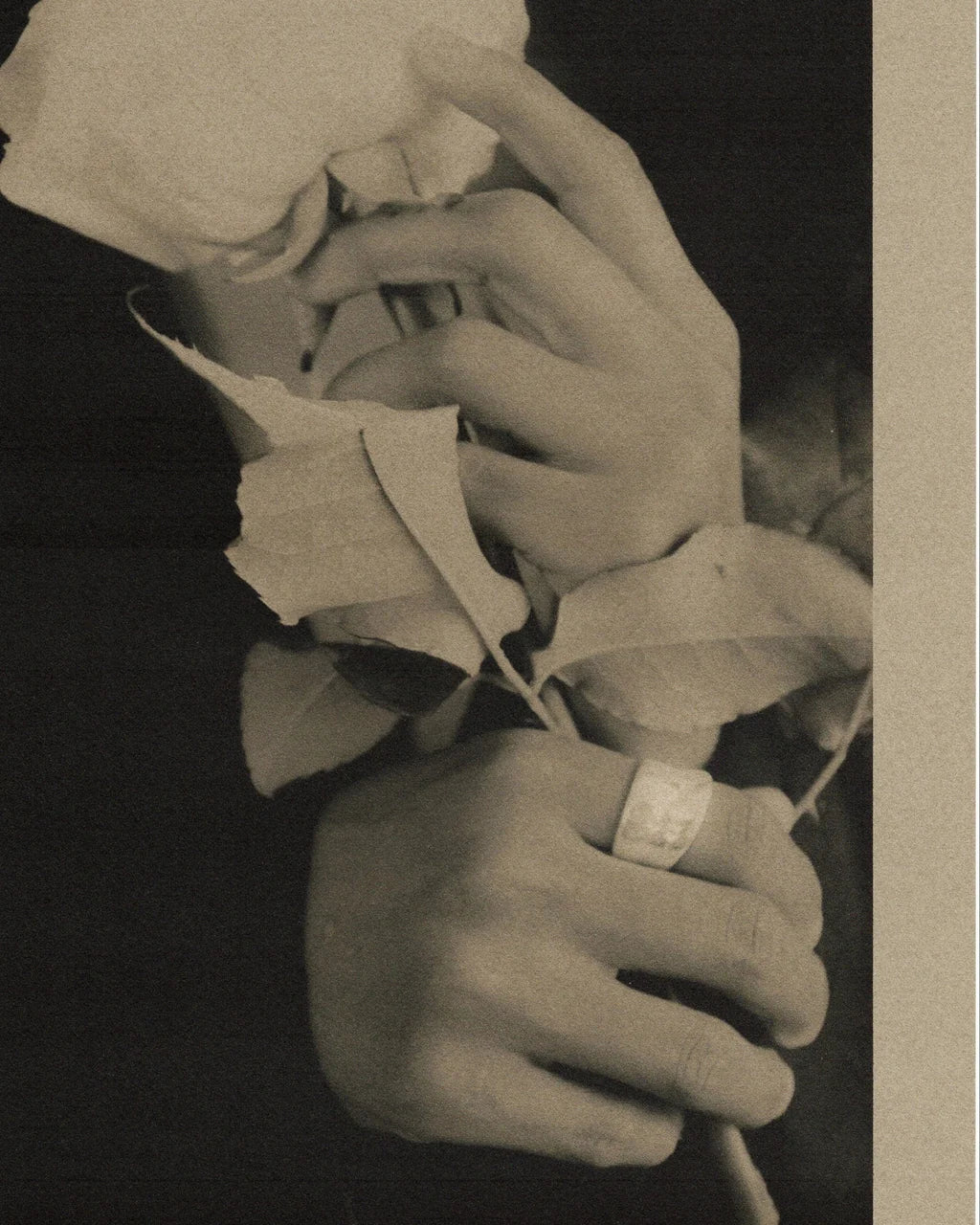 Hoja Ring | Virginia Jirash