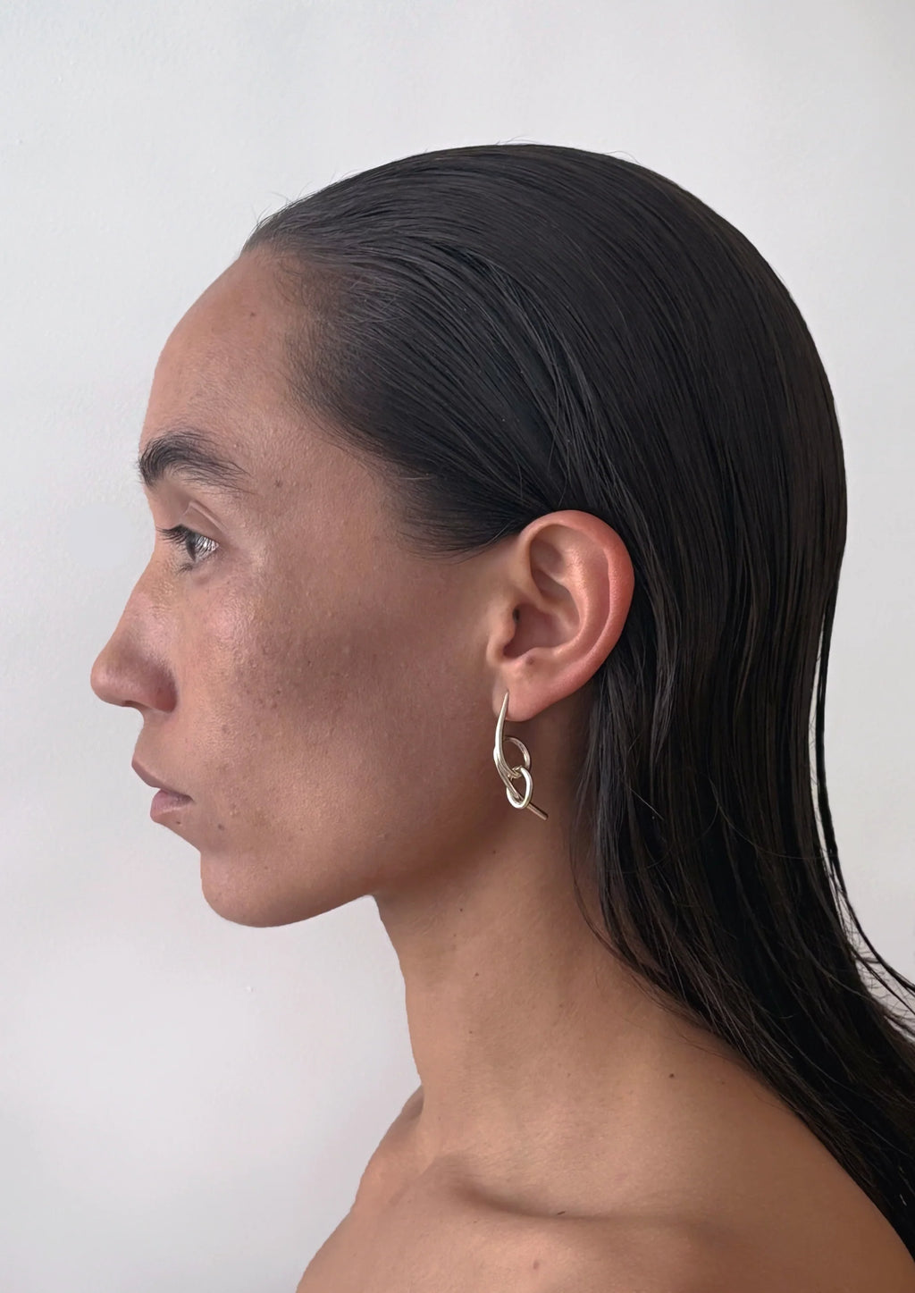 Columpio Earrings | DGS